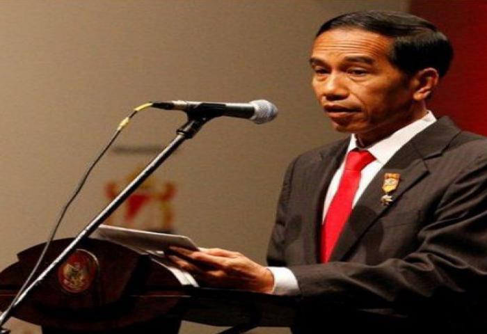 Presiden Jokowi: Cabut Izin Perusahaan Yang Terlibat Kebakaran Hutan
